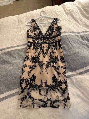 Bardot Nude and Black V-Neck Floral Lace Mini Dress